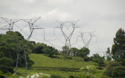 Mercado Energético y Contratación de la Energía