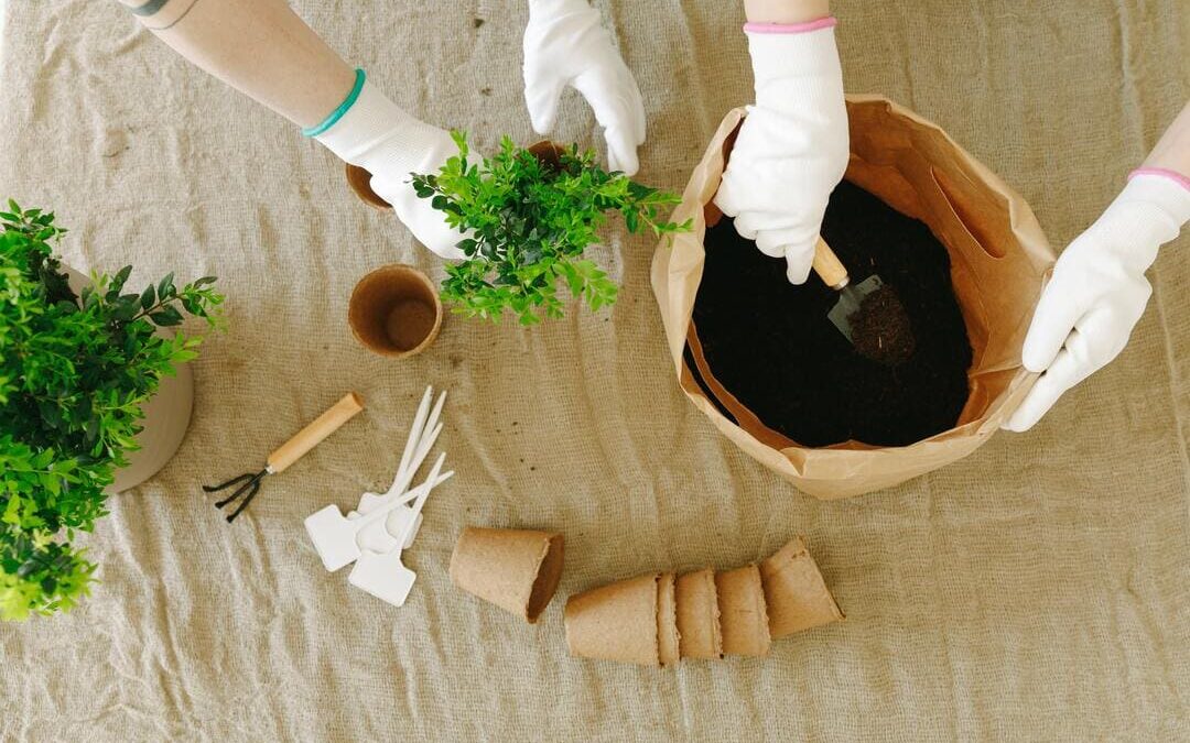 Operaciones Generales de Jardinería