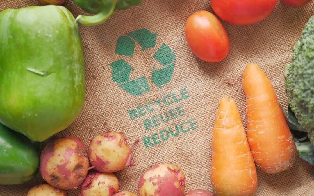 Sostenibilidad Global de la Cadena Alimentaria