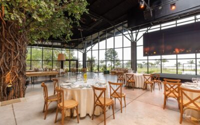 Organización de Eventos y Protocolo