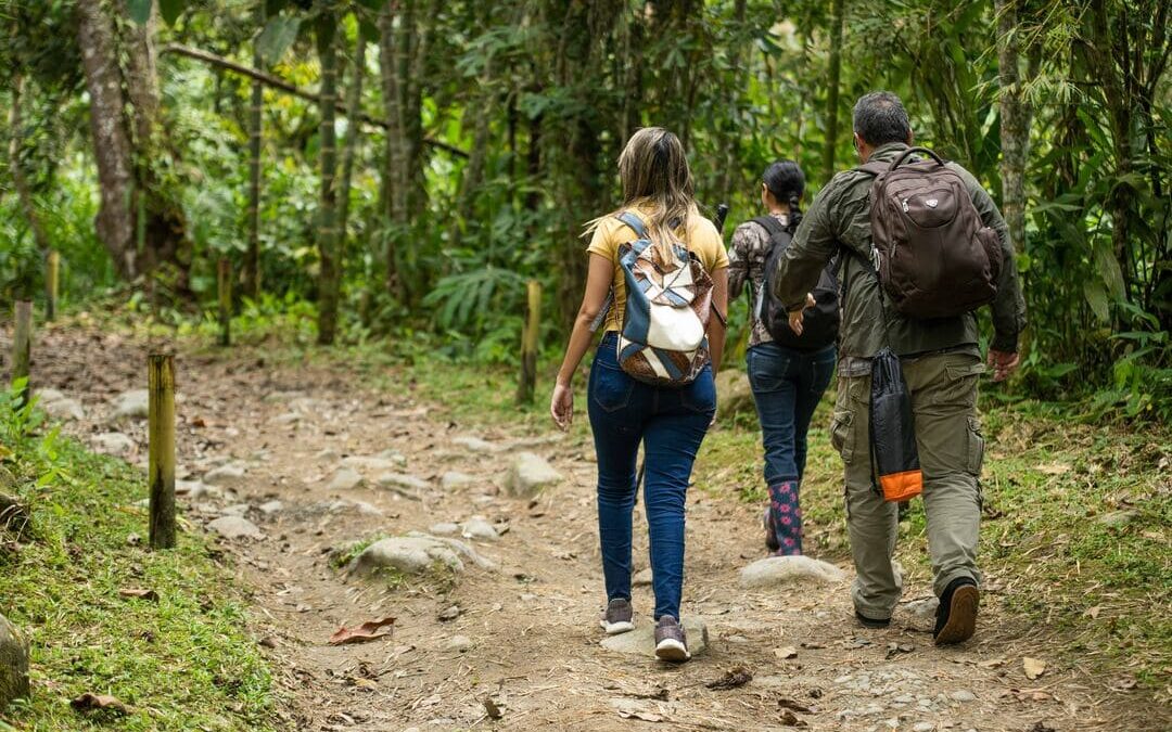Ecoturismo