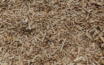 Energías Renovables: Especialidad Biomasa